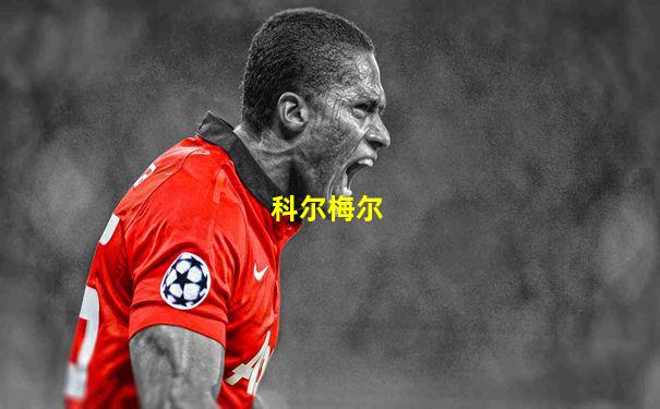 科尔梅尔