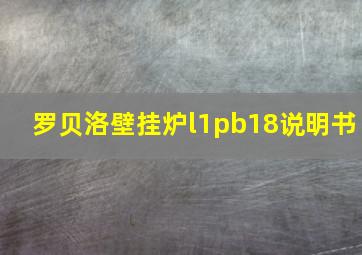 罗贝洛壁挂炉l1pb18说明书