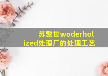 苏黎世woderholized处理厂的处理工艺