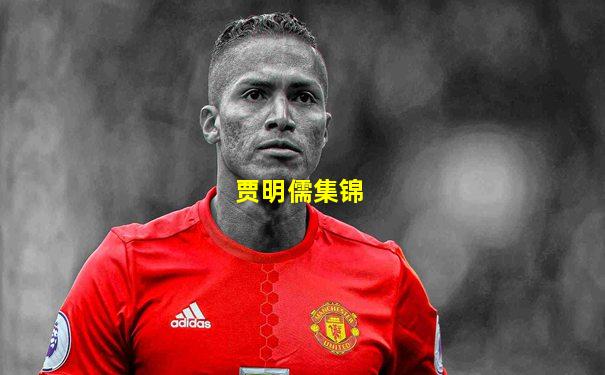 贾明儒集锦
