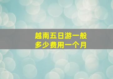 越南五日游一般多少费用一个月